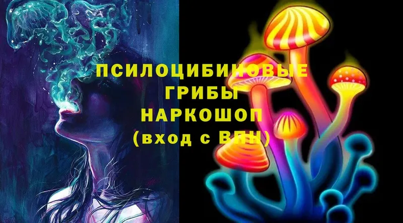 блэк спрут рабочий сайт  Бобров  Псилоцибиновые грибы Psilocybe  хочу наркоту 